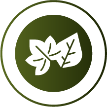 Biobased-Grondstoffen.png