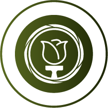 Meer-dan-alleen-Groene-Verf.png